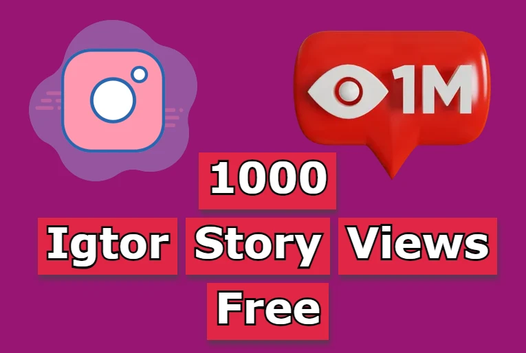 igtor story views